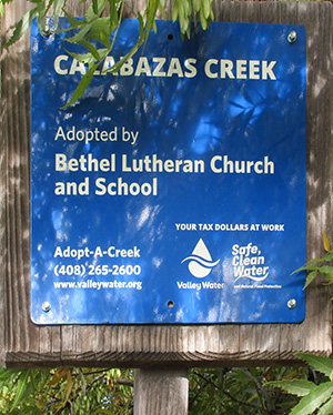 Creek Cleanup announcement