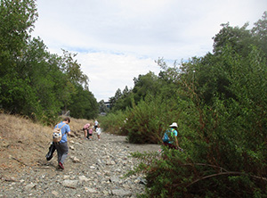 Creek cleanup