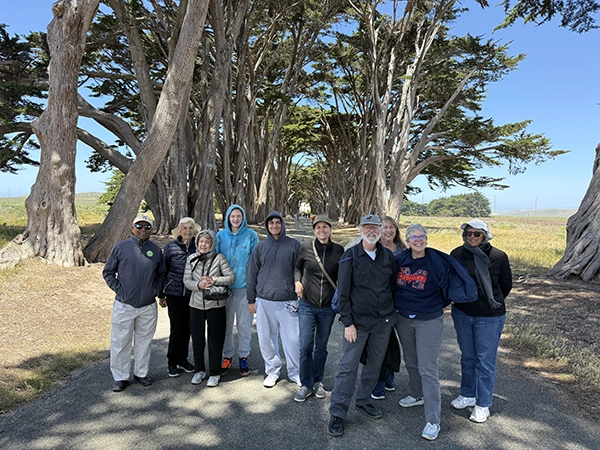 Pt Reyes Cypress trees group